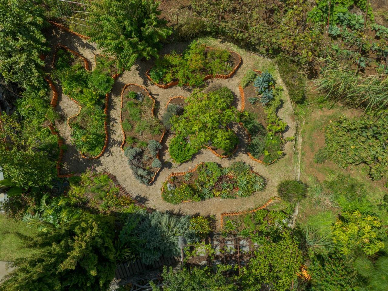 Casas Da Vereda Estreito Da Calheta Exteriér fotografie