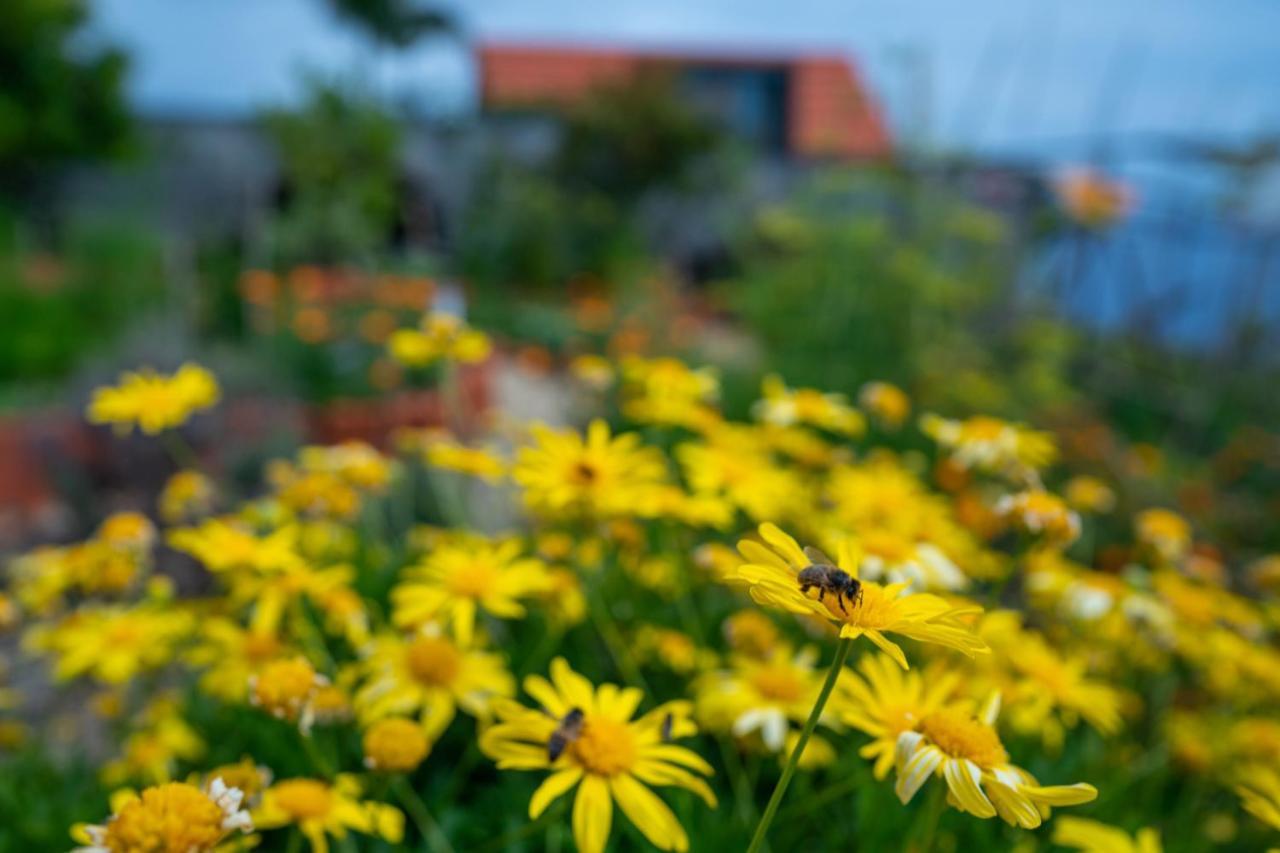 Casas Da Vereda Estreito Da Calheta Pokoj fotografie